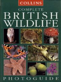 Complete British wildlife