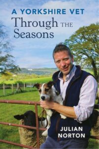 Through the Seasons