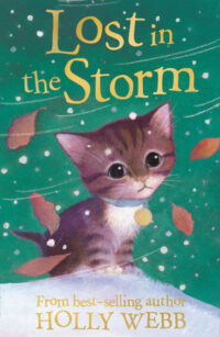 Lost In Storm
